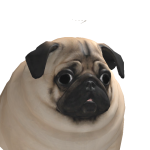 @awesome_doge55