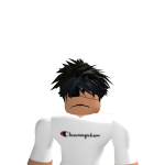 @snowyninja1104