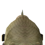 @Mushroom_Vibes153