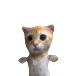 @saywhaaaaaaat1