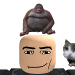 @alexzsedrft
