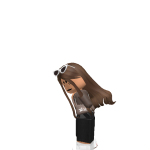 @Aceoreo20