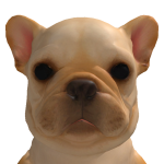 @ptcgk