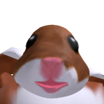 @Swag_hamster52