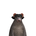 Zzz_valee1