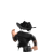 BV_RY