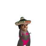 @Ballonbruhsigmaq