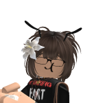 KOTAAAAA