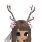 @Salvintia