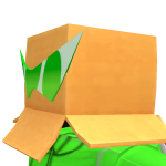 @theshinywooper256