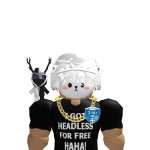 @thomascatdogcar
