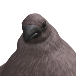 @StealMeMoneyNooo