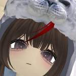 @solll2019