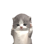 @ARI_shesdeadnow