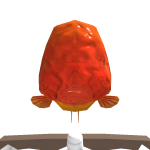 @comaro123456