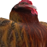 @pepewff
