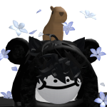 @CatsFor3v3r