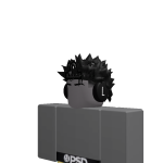 @Payjr500