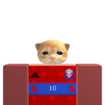 @DevBuilderManager
