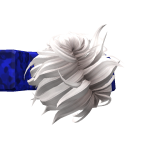 Kitsune_bestfan