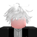 @theproinrobloxhaha