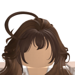 @roblox_user_2846595311