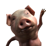 PIG
