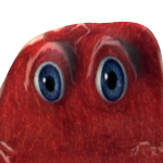 @DrillTheWall123