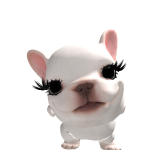 @FrogyloverRibbit