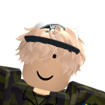 @NoelRobloxKingGG