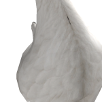 @Rafazxnn