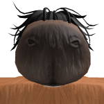 @mrcapybaraop