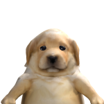 @Igor_662