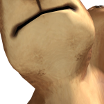 @Gamer_queensim