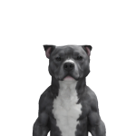@roblox_user_885458302