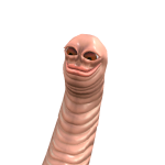 @blossompig2012