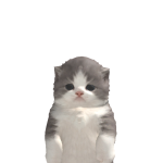 @Nix_dione