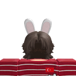 @ErenGamerGT
