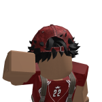 @TheRealBroFTW