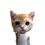 @Defortniteninja