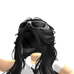 @corvidial