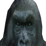 @samar0z1x