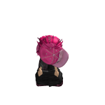 @Famouslilybaby