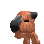 @Guinea_yoshi