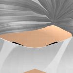 @ArkCrasher
