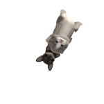 @KiiarahxD2
