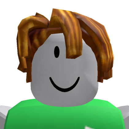 Roblox profile picture for @Rakunx