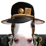 @Reo_isthegoat