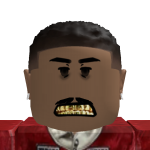 @roblox_user_4500792807