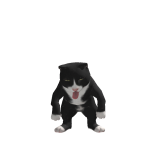 @AlienCatWars
